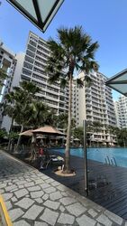 Waterfront Gold (D16), Condominium #553364871